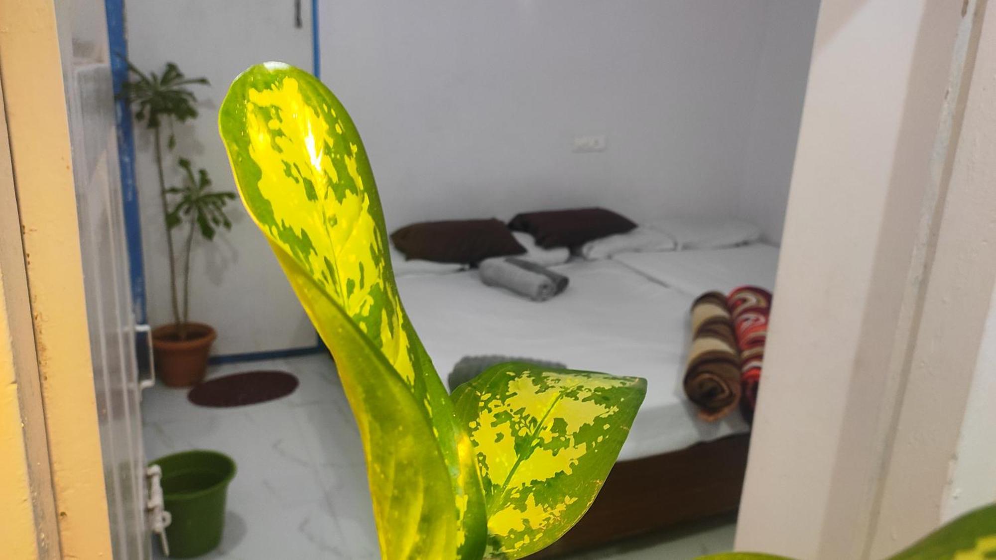 Adh Amilia Gardens Hotel Narasimharaja Puram Kültér fotó
